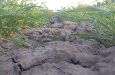 Emergencia por sequía y campos anegados, las contradicciones del Chaco agrícola