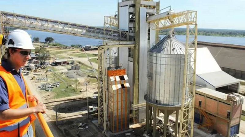 Exportadores liquidaron 3000 millones de dólares durante marzo