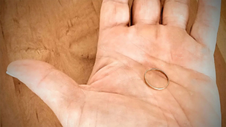 anillo.jpg