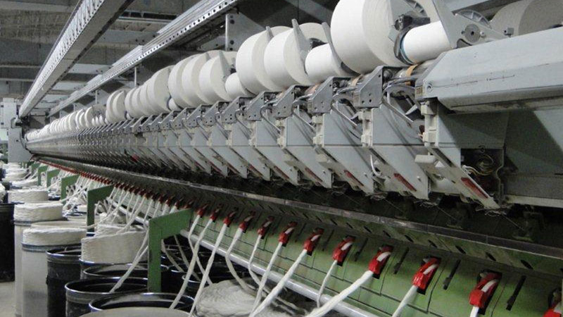 Retrasar la siembra de algodón es clave para evitar pérdidas