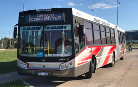 colectivo.jpg