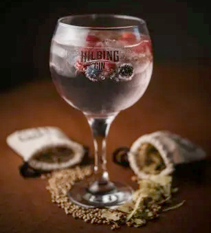 gin tonic.jpg
