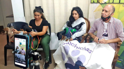 Se reedita hoy un nuevo encuentro de perros salchichas