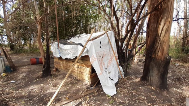 Rescataron a 73 personas víctimas de explotación laboral en estancias forestales
