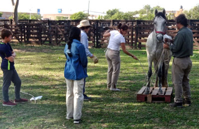 Doma racional y liderazgo, en Margarita Belén