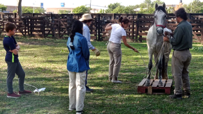 Doma racional y liderazgo, en Margarita Belén