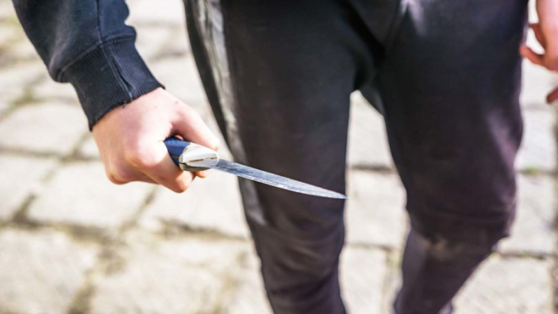 Detuvieron a una joven que ataco con un arma blanca a su vecino
