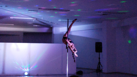 pole dance 2.jpg