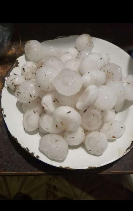 granizo Du Graty 1.jpg