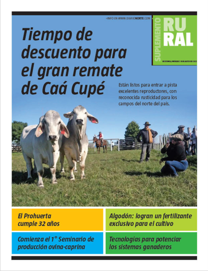 Tiempo de descuento para el gran remate de Caá Cupé