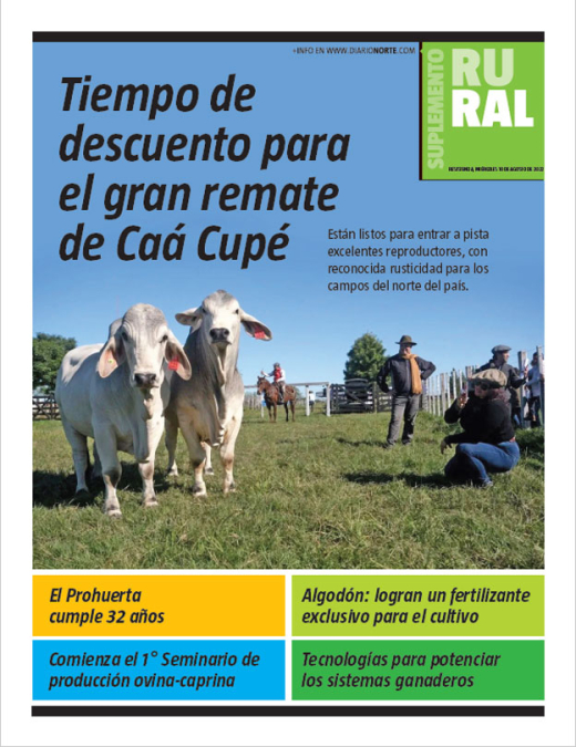 Tiempo de descuento para el gran remate de Caá Cupé