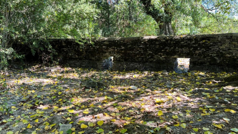 Gobierno británico declaró "estado de sequía" y restringirá uso de agua potable