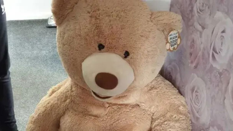 Robó un auto y se escondió en un peluche