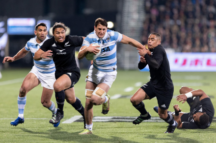 lospumas.jpg