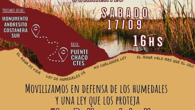 Movilización al puente interprovincial para reclamar por la Ley de Humedales
