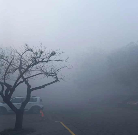 Rosario-Humo08.jpg
