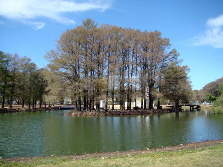 Primavera parque.JPG