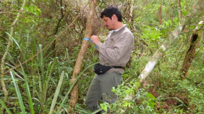 Actualizan inventario de hormigas del Chaco Húmedo y buscan proponer prioridades de conservación