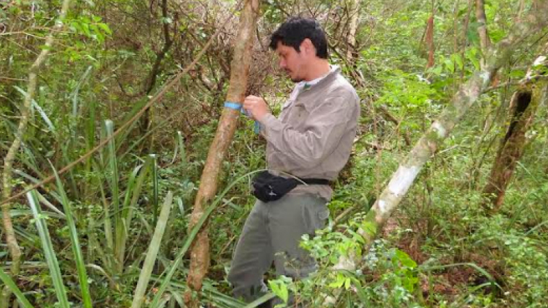 Actualizan inventario de hormigas del Chaco Húmedo y buscan proponer prioridades de conservación