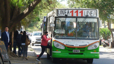 "El pasaje tiene que ser accesible y el costo estará al ritmo de la inflación"