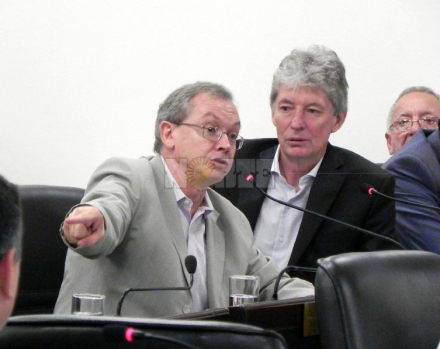 pedrini sager.jpg