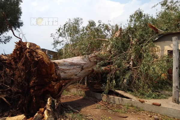 Fuertes vientos y granizada en la tercera ciudad del Chaco