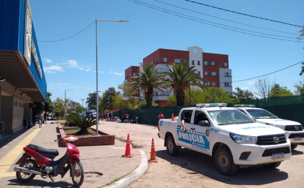 acampe4.jpg
