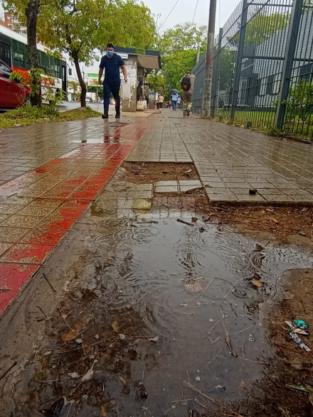 lluvia01.jpg