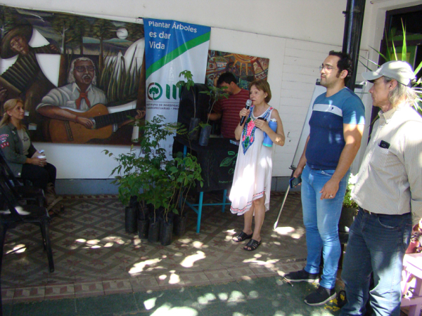 Foto 6