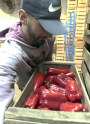 pimiento.jpg