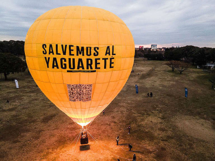 yaguarete3.JPG