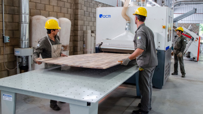 Se logró el primer lote de producción de tableros de madera