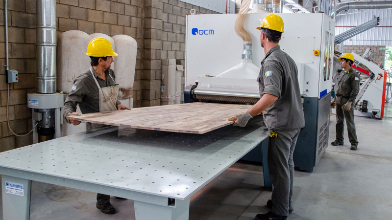 Se logró el primer lote de producción de tableros de madera