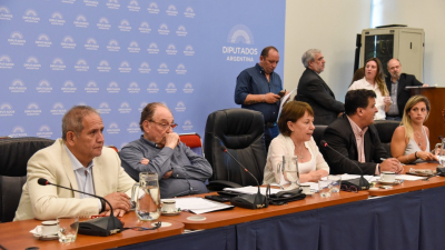 Diputados debatió la creación de cinco universidades nacionales