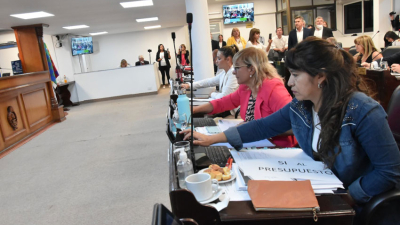 El oficialismo logró aprobar el Presupuesto, la suspensión de las PASO y habilitar las colectoras