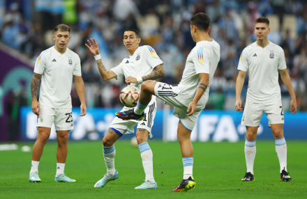 seleccion argentina semis 1.JPG