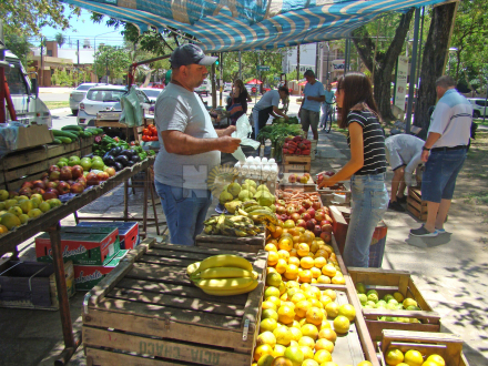 frutas ahora .JPG