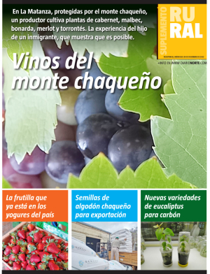 Vinos del monte chaqueño