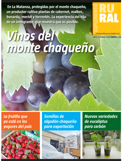 Vinos del monte chaqueño