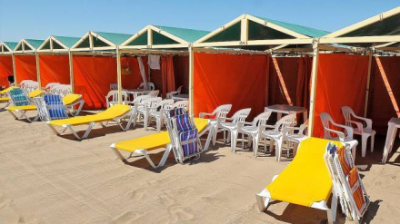 carpa en la costa.jpg