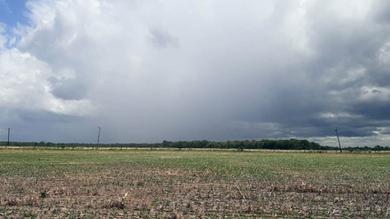 Desde este fin de semana llegan las lluvias, pero con acumulados inferiores a los normales