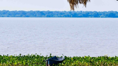 Humedales, una solución natural al cambio climático