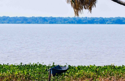 Humedales, una solución natural al cambio climático