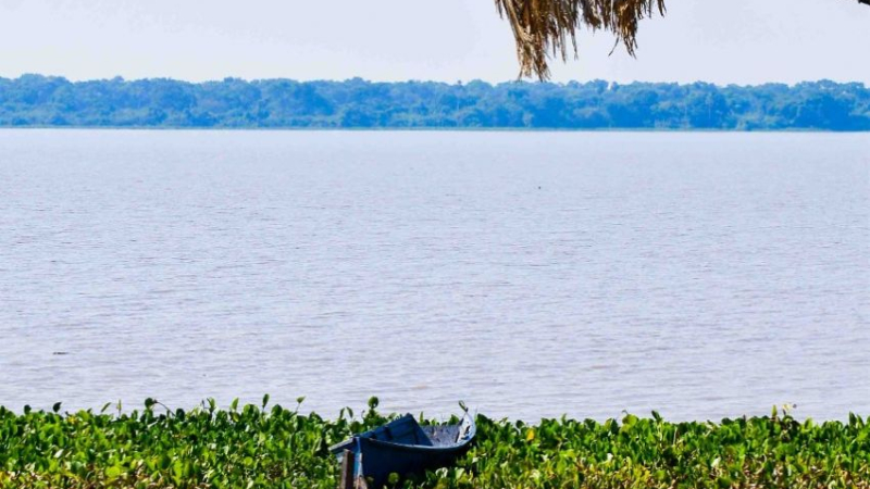 Humedales, una solución natural al cambio climático