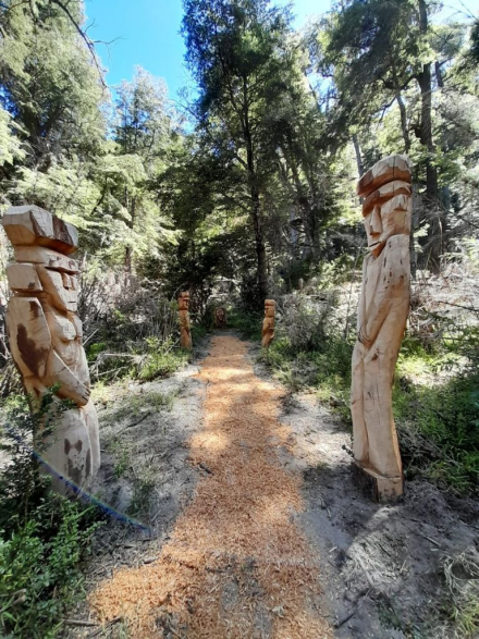 bosque1.jpg