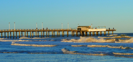 mar de ajo03.jpg
