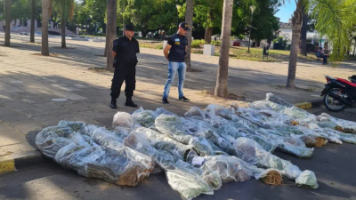 La Policía Federal desarticuló una gran plantación de marihuana en Corrientes