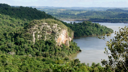 selva Teyú Cuaré.jpg