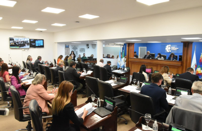 Cuesta: "Queremos garantizar los derechos  de la sociedad que quiere vivir en paz"