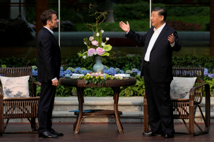 xi macron.JPG